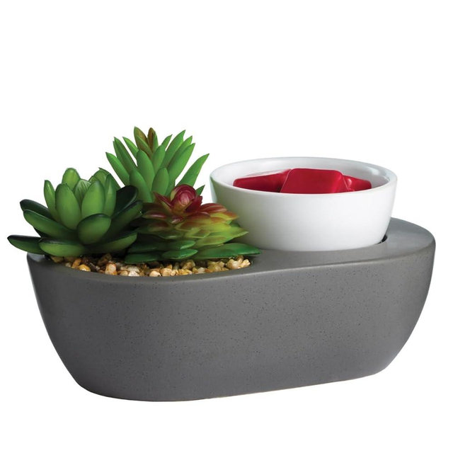 CANDLE WARMERS ETC. ARTSCENTS Wax Melt Fragrance Warmer for Scented Wax Melts, Cubes, Tarts|Succulent