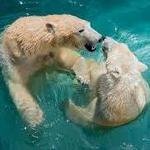 Columbus Zoo and Aquarium