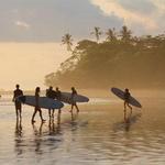 Tamarindo