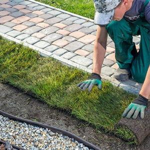 Landscaping