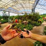 Butterfly Wonderland