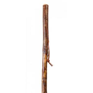Free Form Hickory Walking Stick