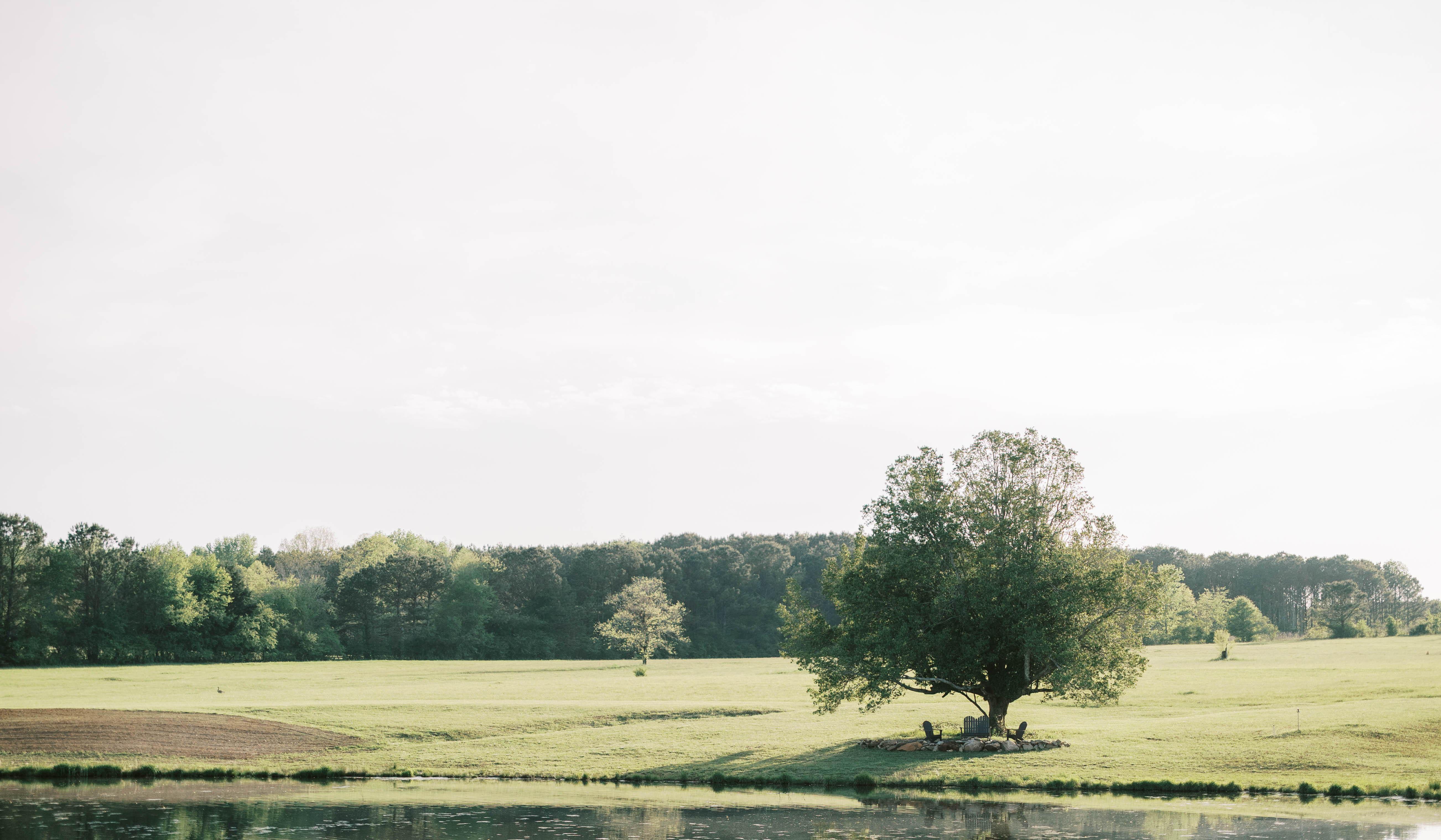 Footer image