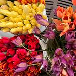 Dane County Farmer's Market