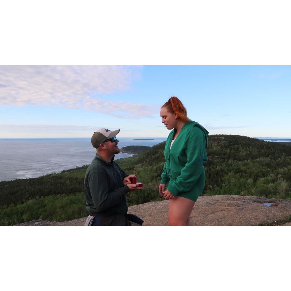The proposal!