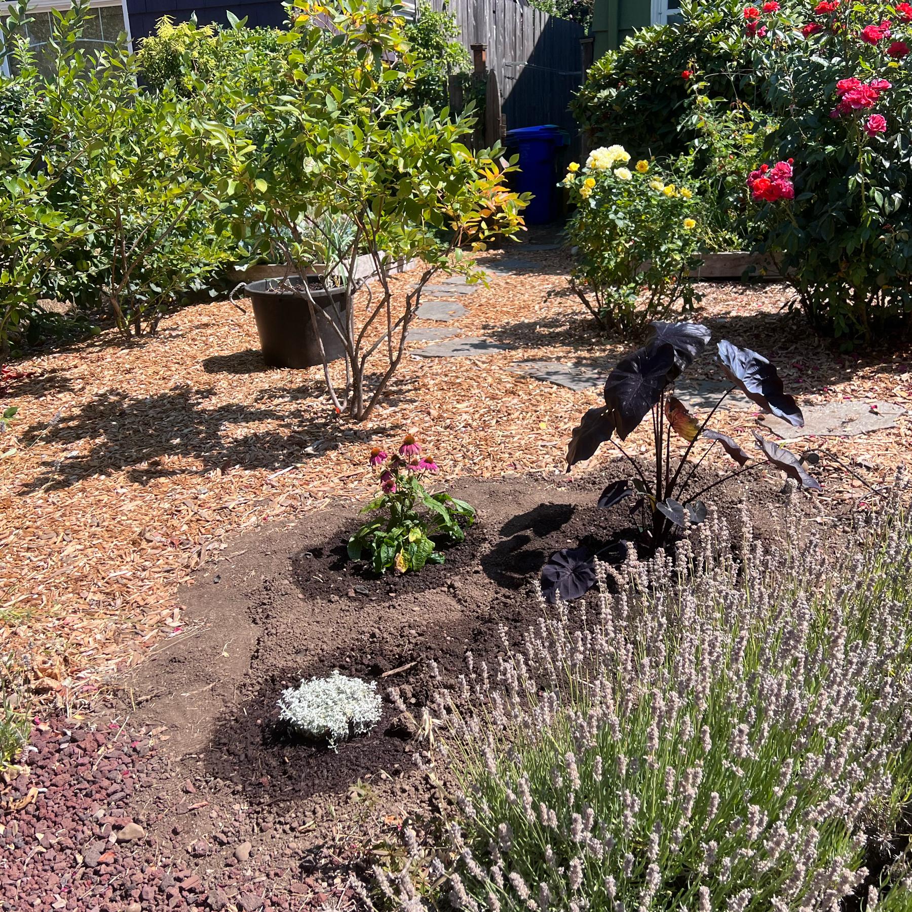 Fall Garden Fund