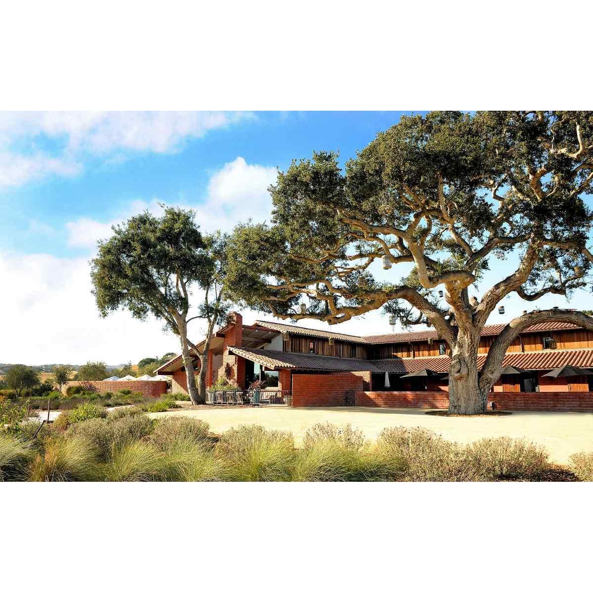 Brick Barn Wine Estate - Join us for "Wine Down Wednesday"! (info found on the "Schedule" and "RSVP" tabs).