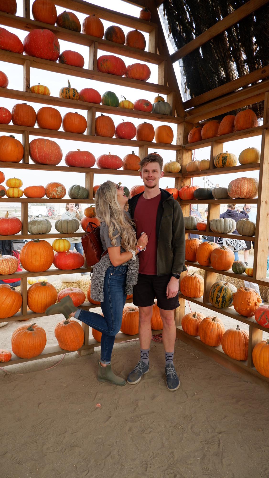 Annual pumpkin patch pic
