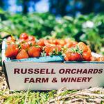 Russell Orchards Farm & Winery