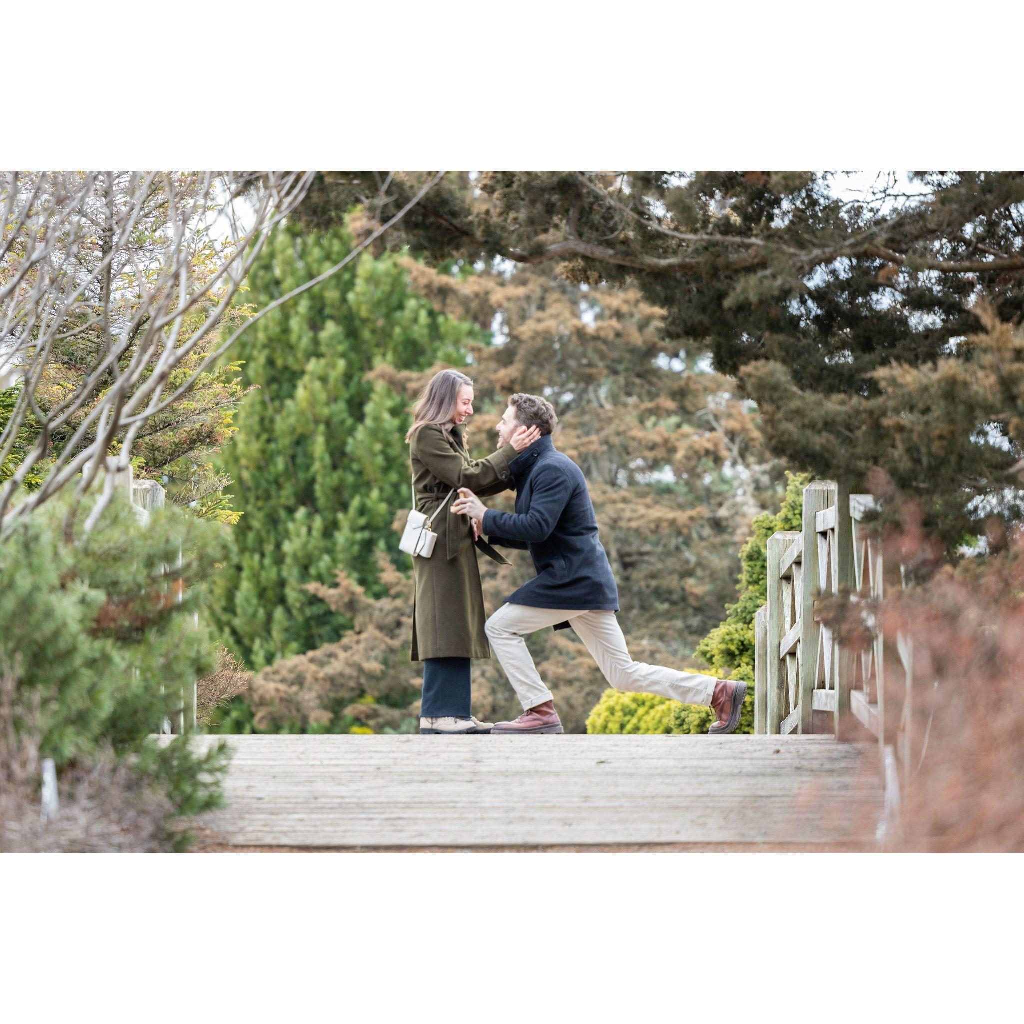 The proposal, March 2024