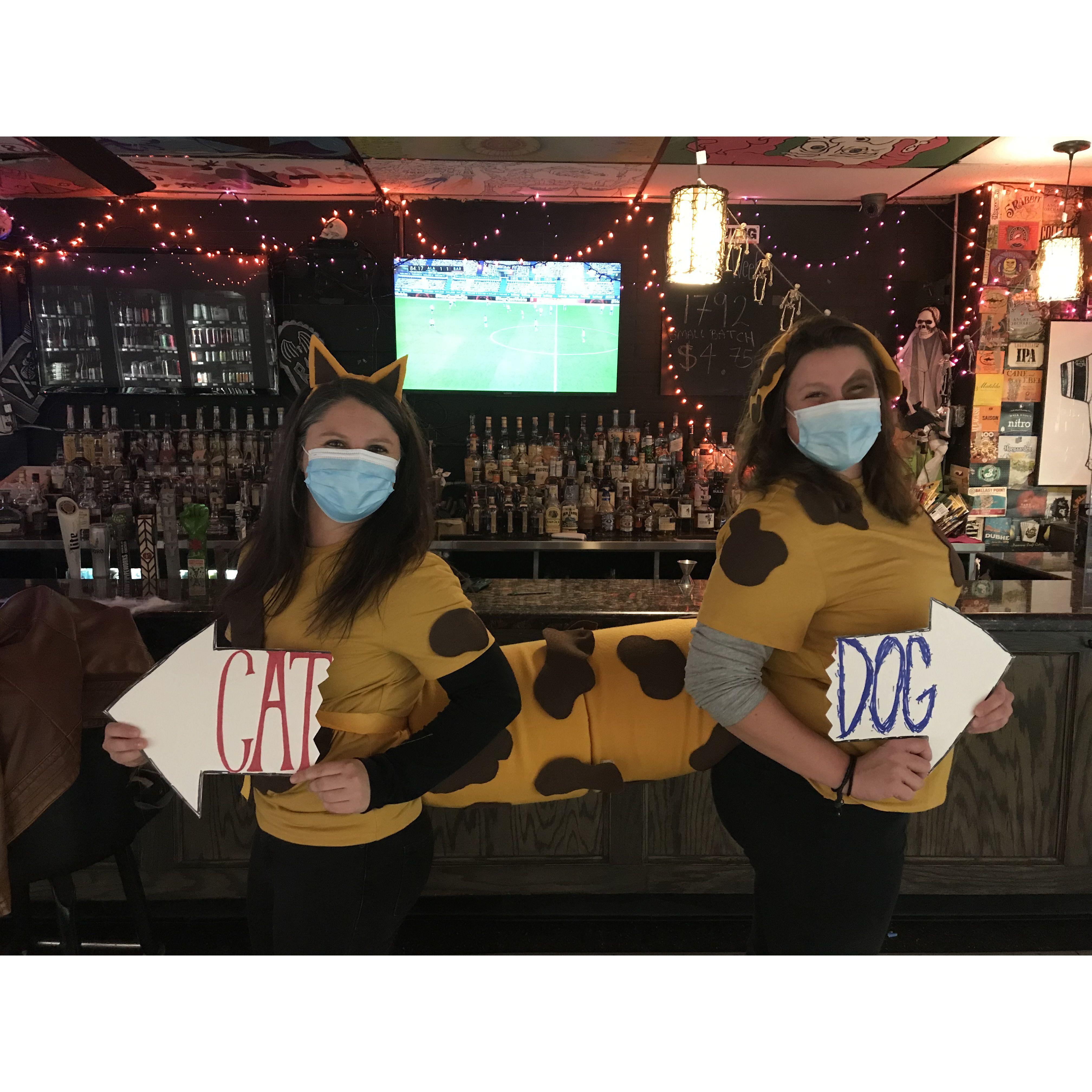 COVID CatDog Halloween 2020