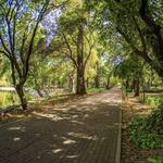 Calzada de los Poetas