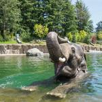 Oregon Zoo