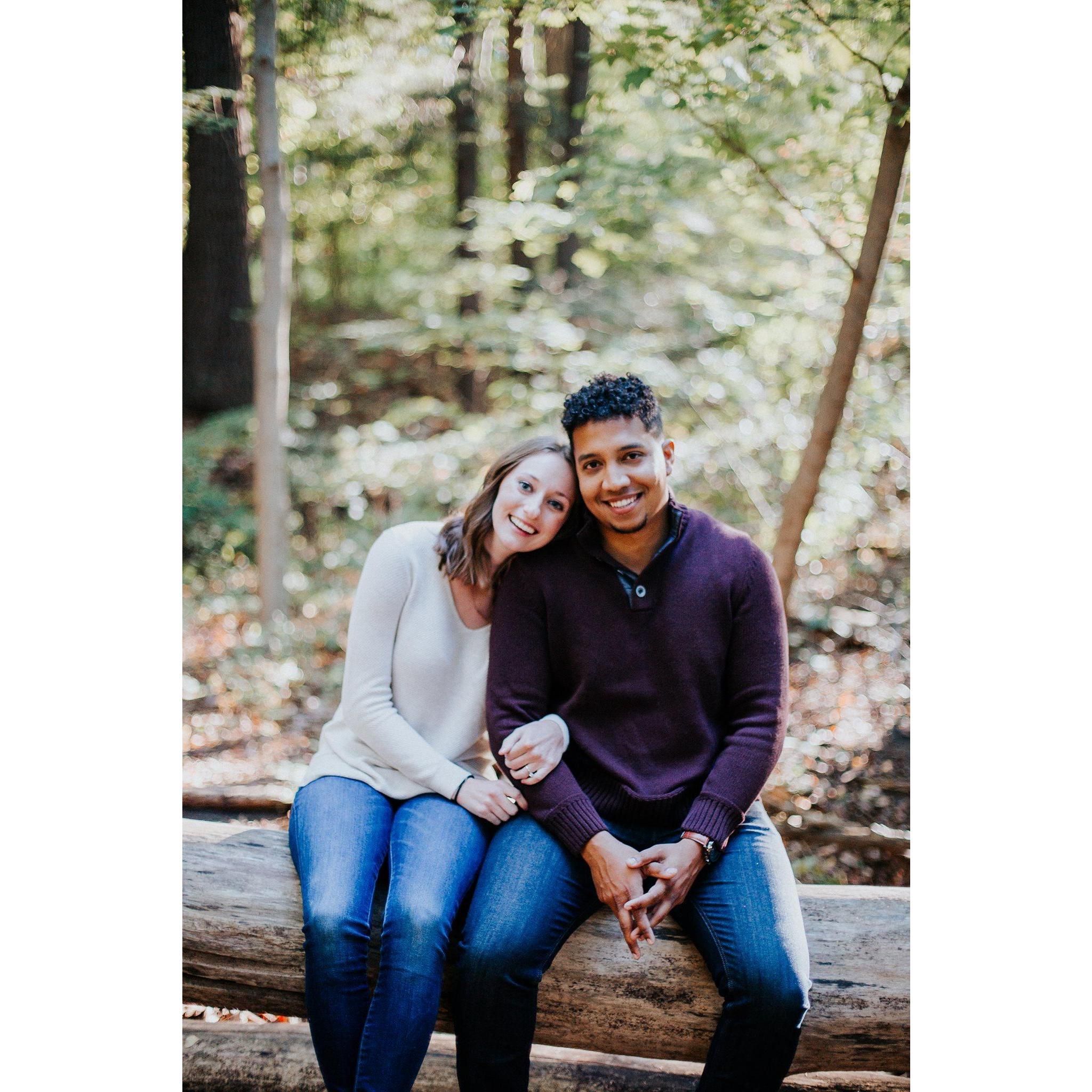 Engagement session in Warren Dunes State Park