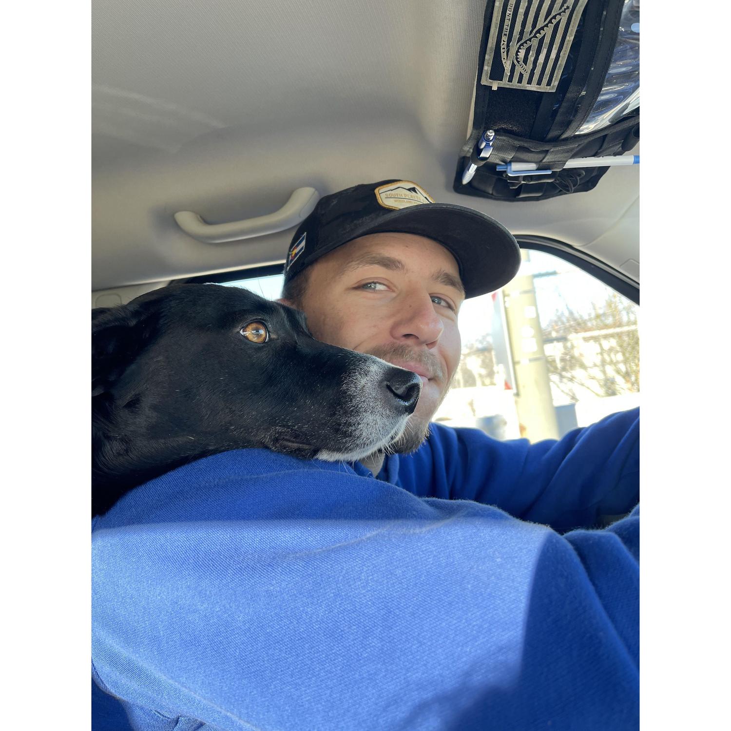 Man's best friend