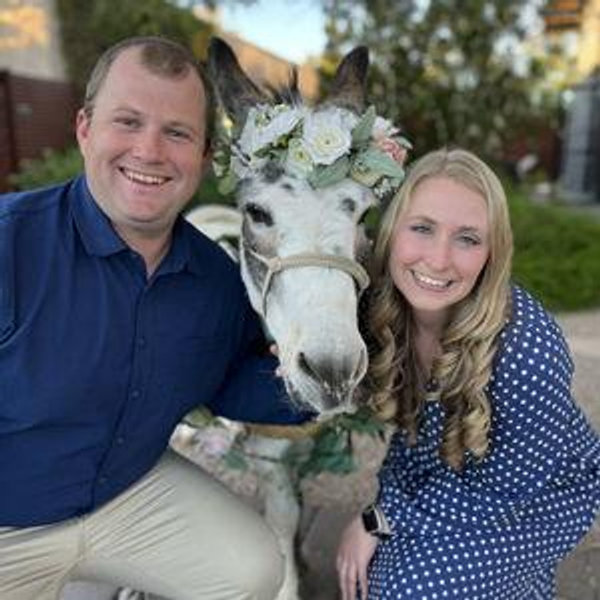 Our Mini Donkey Fund