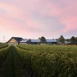 Newport Vineyards & Restaurant
