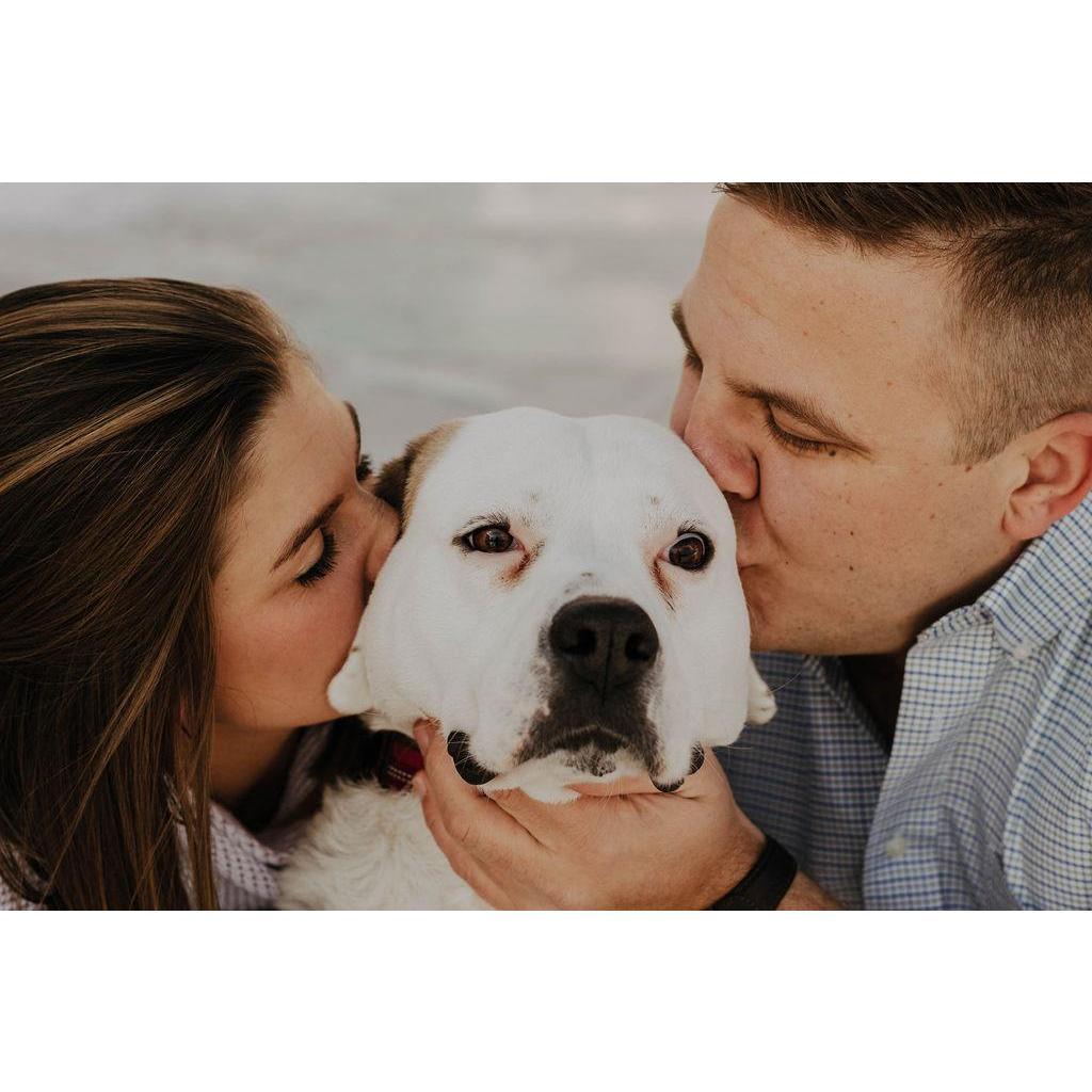 Our life isn't complete without our Lulu.