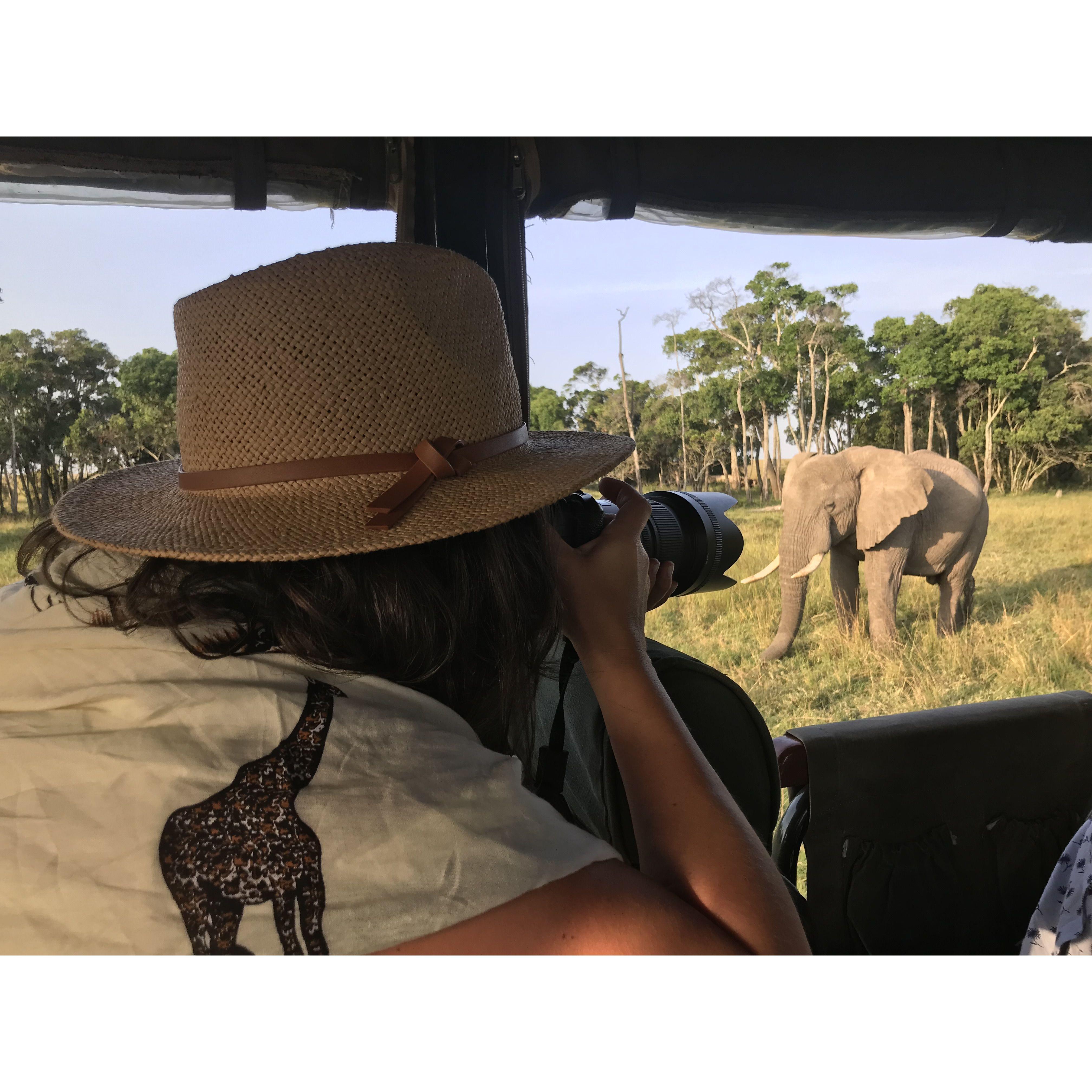 Masai Mara, Kenya