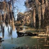 Cypress Gardens