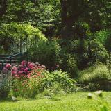 Idaho Botanical Garden