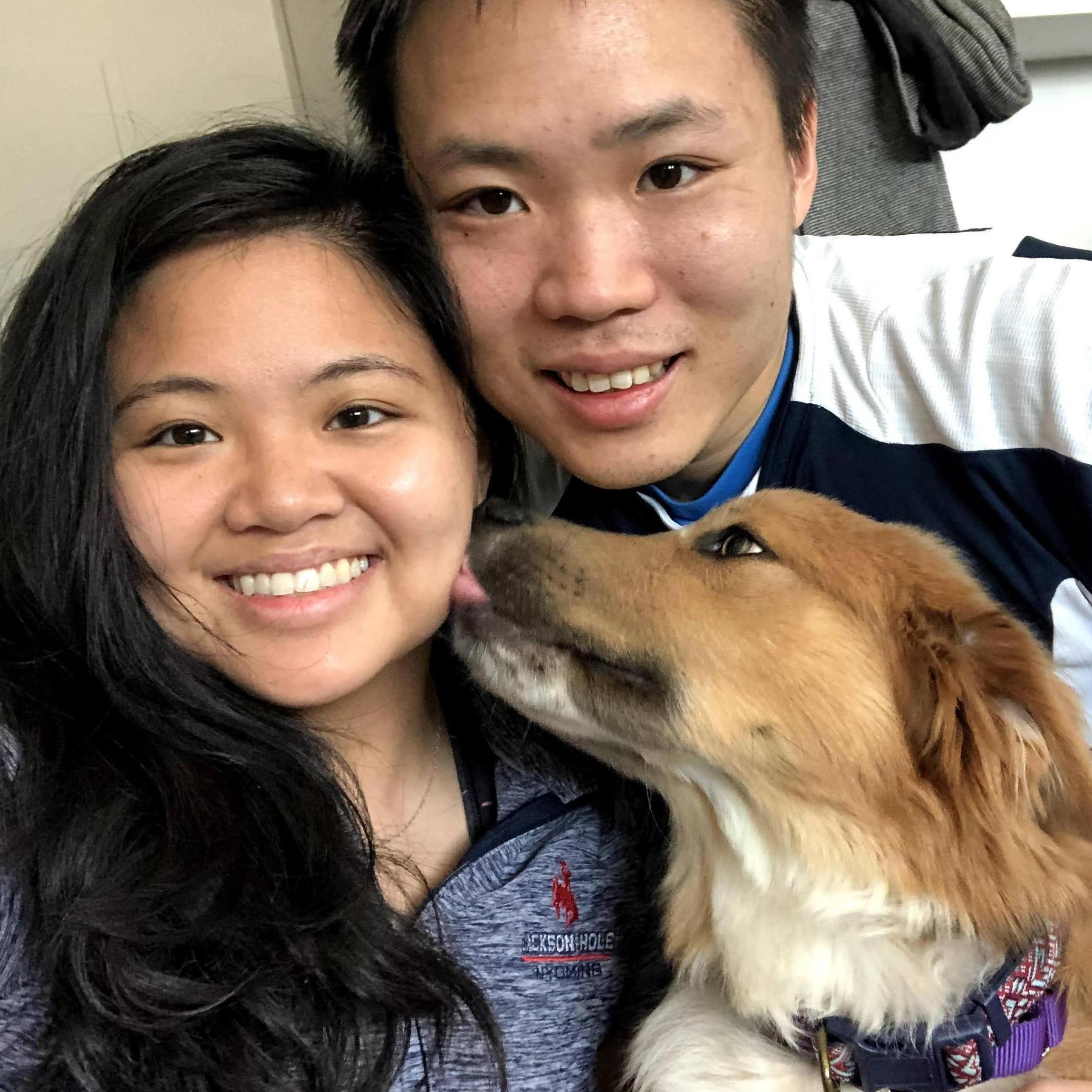 Milo's Gotcha Day 2020