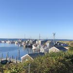 Larsen's Fish Market