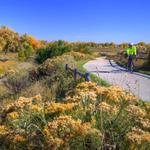 Poudre River Whitewater Park