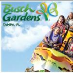 Busch Gardens Tampa Bay