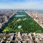Central Park