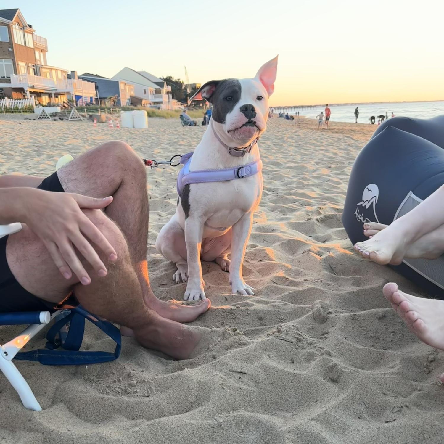 So many beach days!