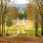 Percy Warner Park Allée