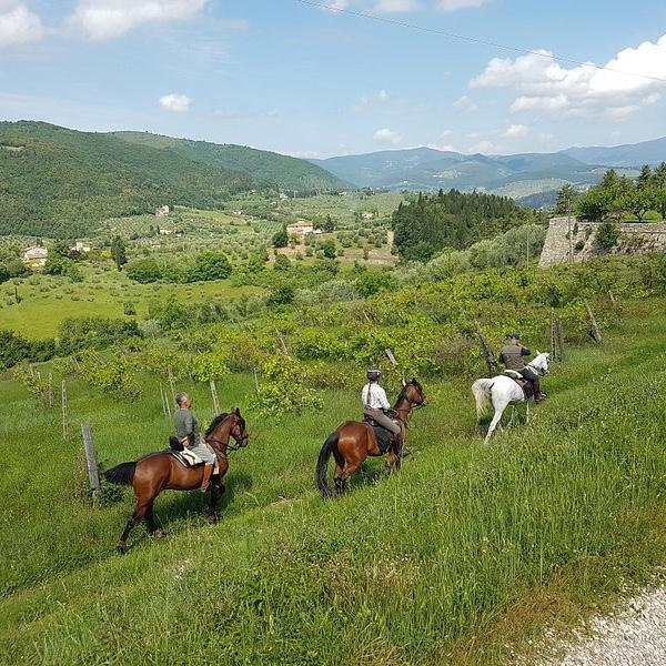 Horseback Riding - Honeymoon