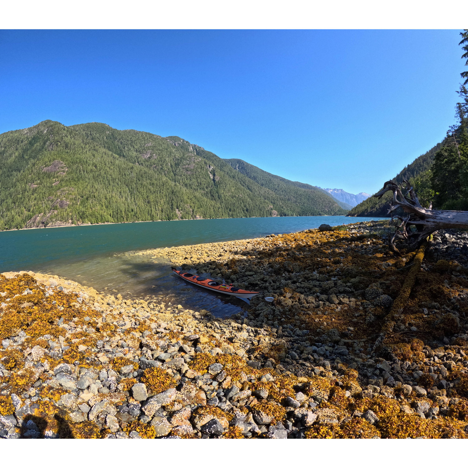 kayak picnic