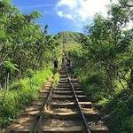 Koko Head Trail (Hike - Hard)