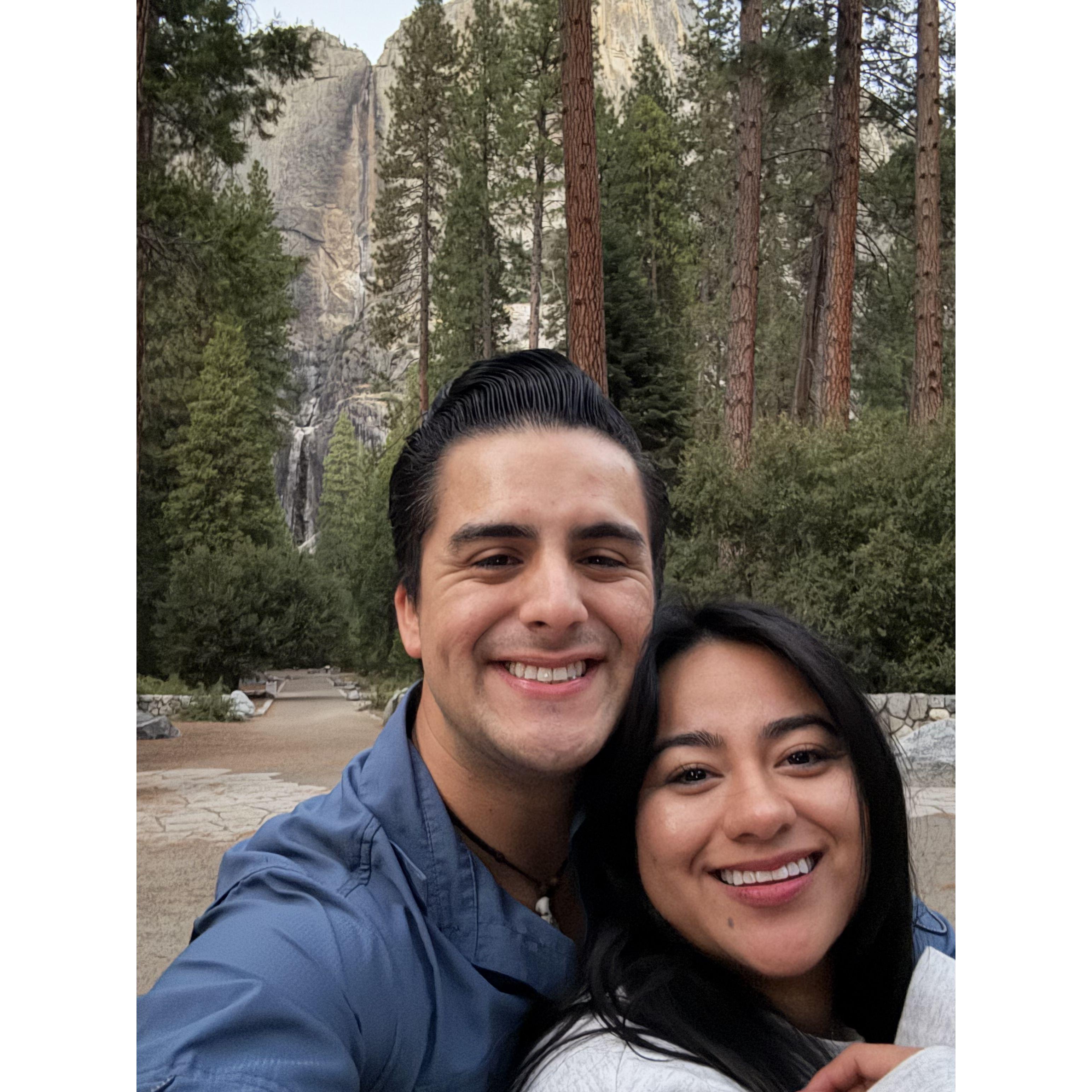 Our first redwood adventure