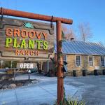 Groovy Plants Ranch