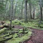 Alta On-Site Trails