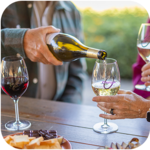 Orfila Vineyards and Winery