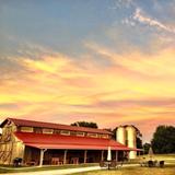 Verona Vineyards