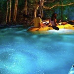 Bioluminescent Bay Kayak Tour