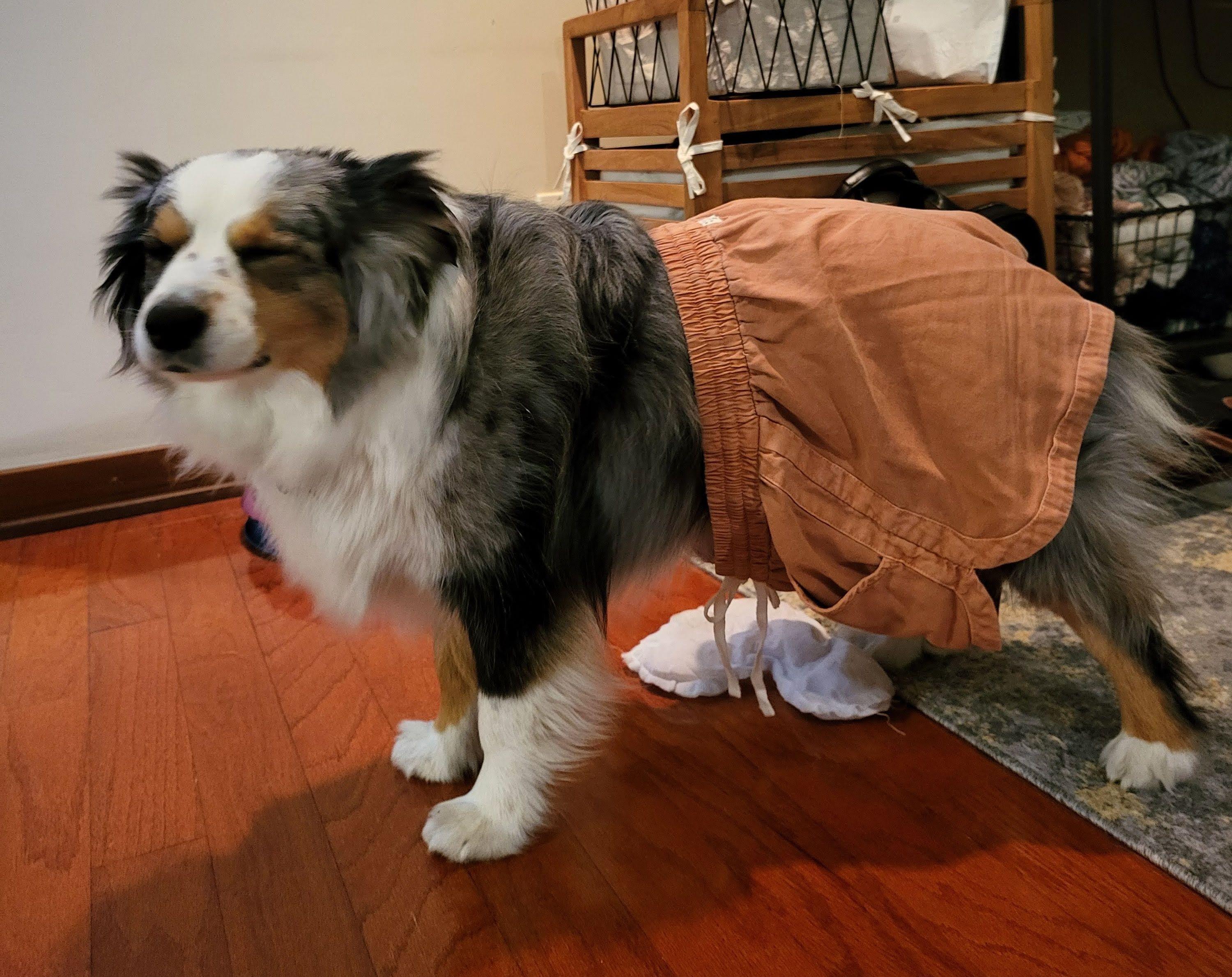 The Wedding Website of Francis Oda and Grayson Leonard