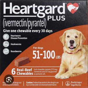 1 Year Supply Heartgard for Maya