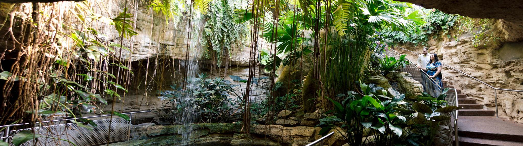 The Wedding Website of Megan Danielle Zorzi and Korey Kyncaide Vaughan