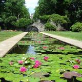 New Jersey Botanical Garden