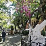 Park