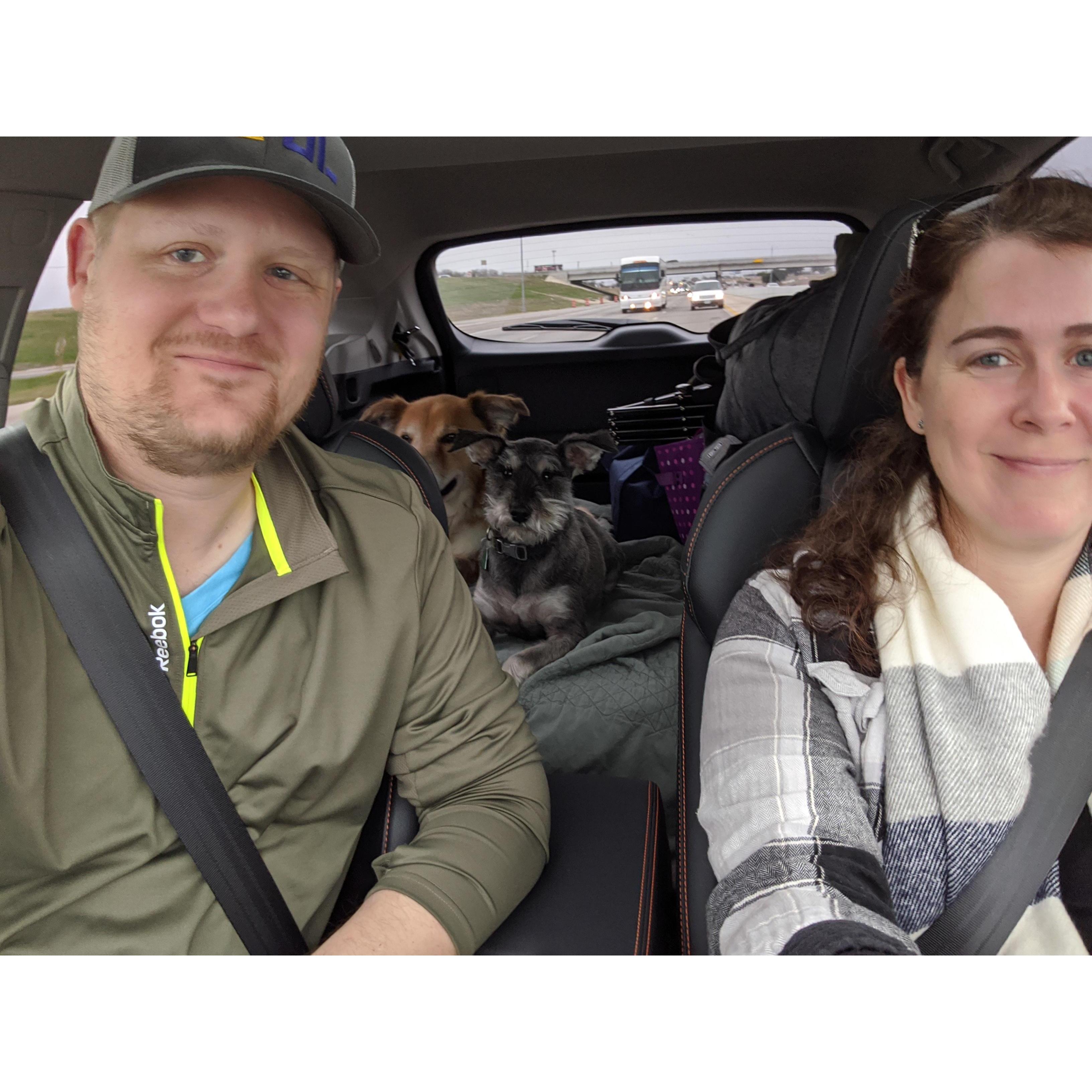 Taking the pups to Minnesota for Christmas in the snow.