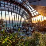 Sky Garden