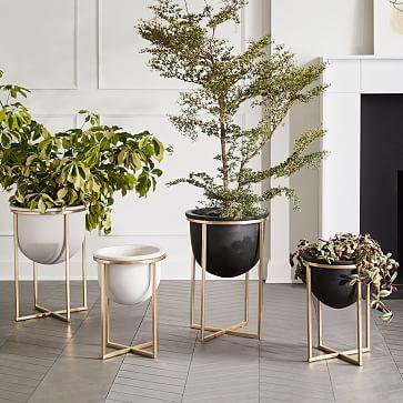 West Elm Eden Cross Base Standing Planter - Brass