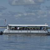 Dolphin Tours of Jekyll Island